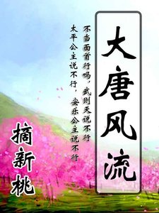 大唐风流