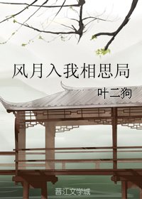 風月入我相思局